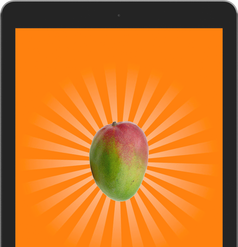 iPad