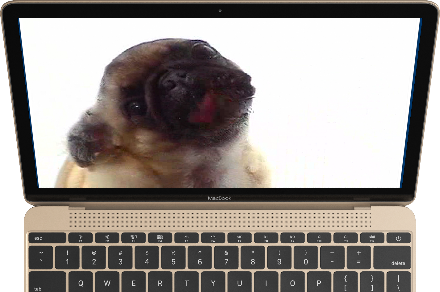 Macbook